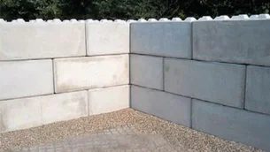 Tobiraster
